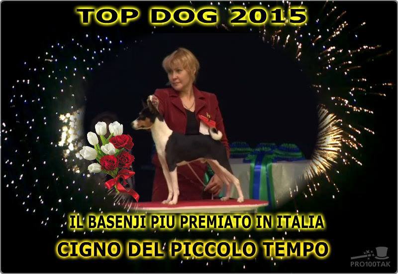 Un cane Basenji su un podio con il suo conduttore, con la scritta