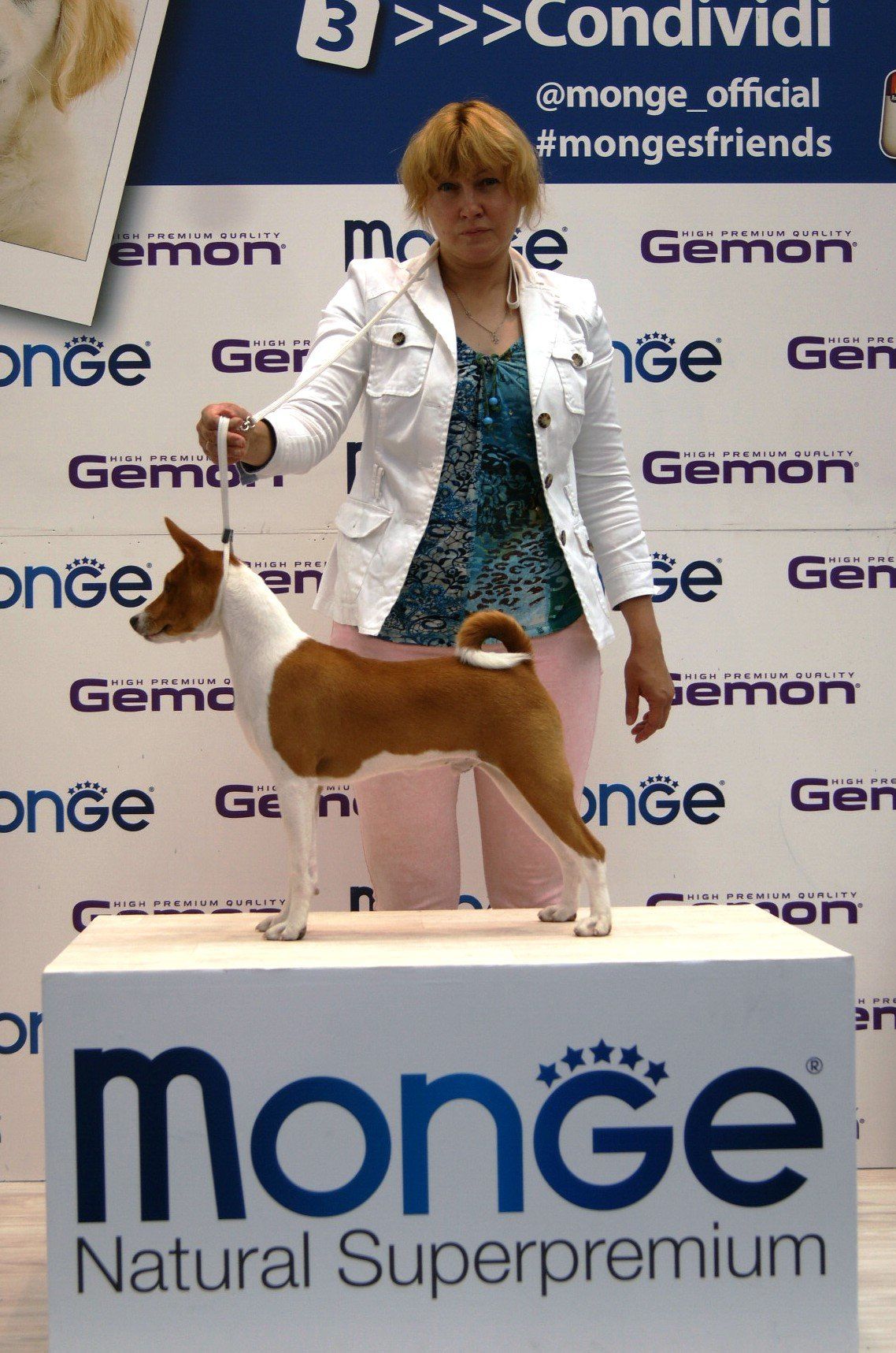 Un cane Basenji è in piedi su una piattaforma durante uno spettacolo. Una donna con una giacca bianca tiene il guinzaglio, vicino a uno striscione Monge.