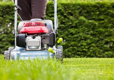 Mowing - Lawn and Property maintenance in Wanatah, IN