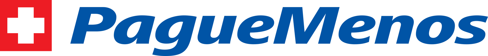 LOGO PANVEL