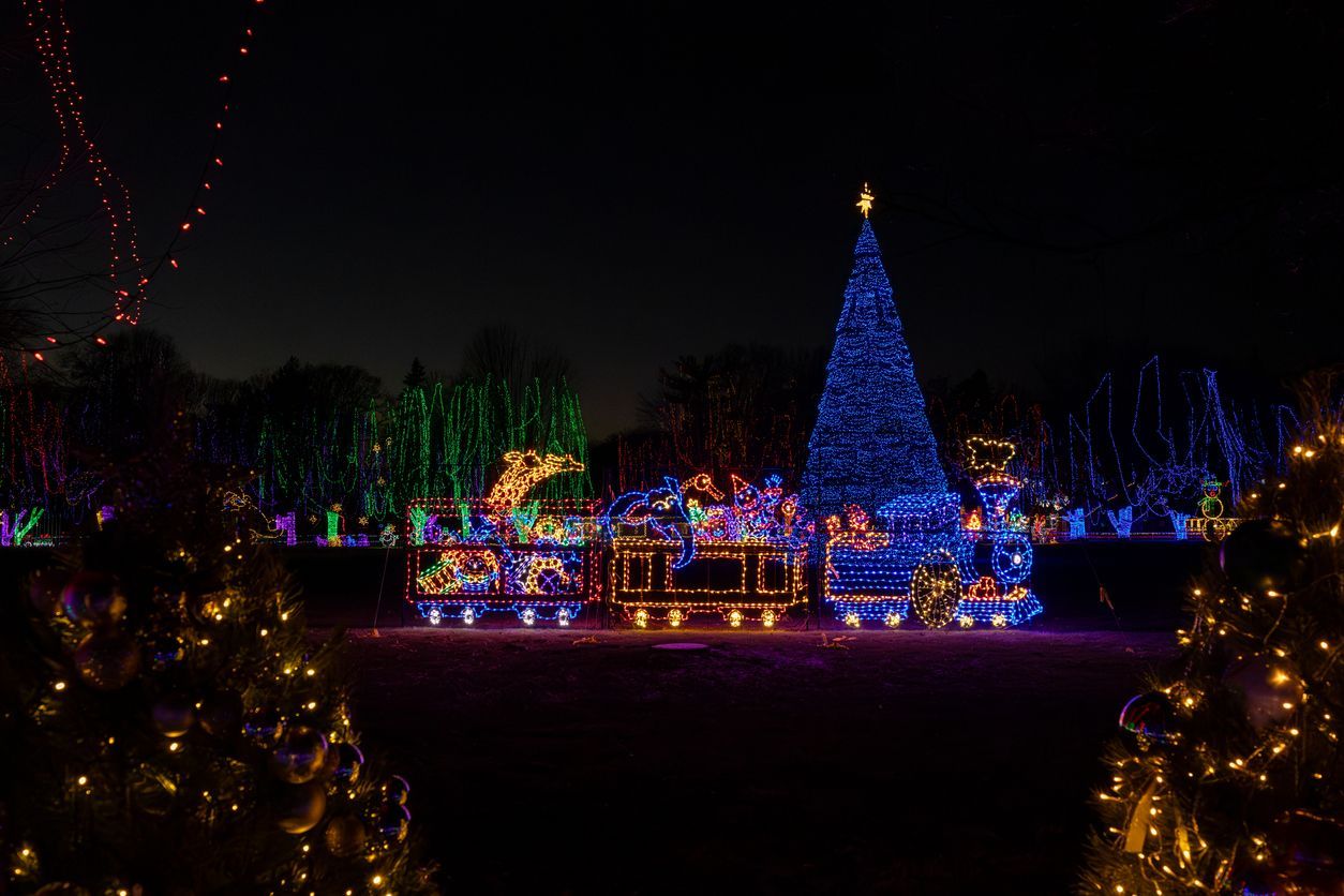 Holiday lights with a colorful train, glowing blue Christmas tree, and bright trees at night.