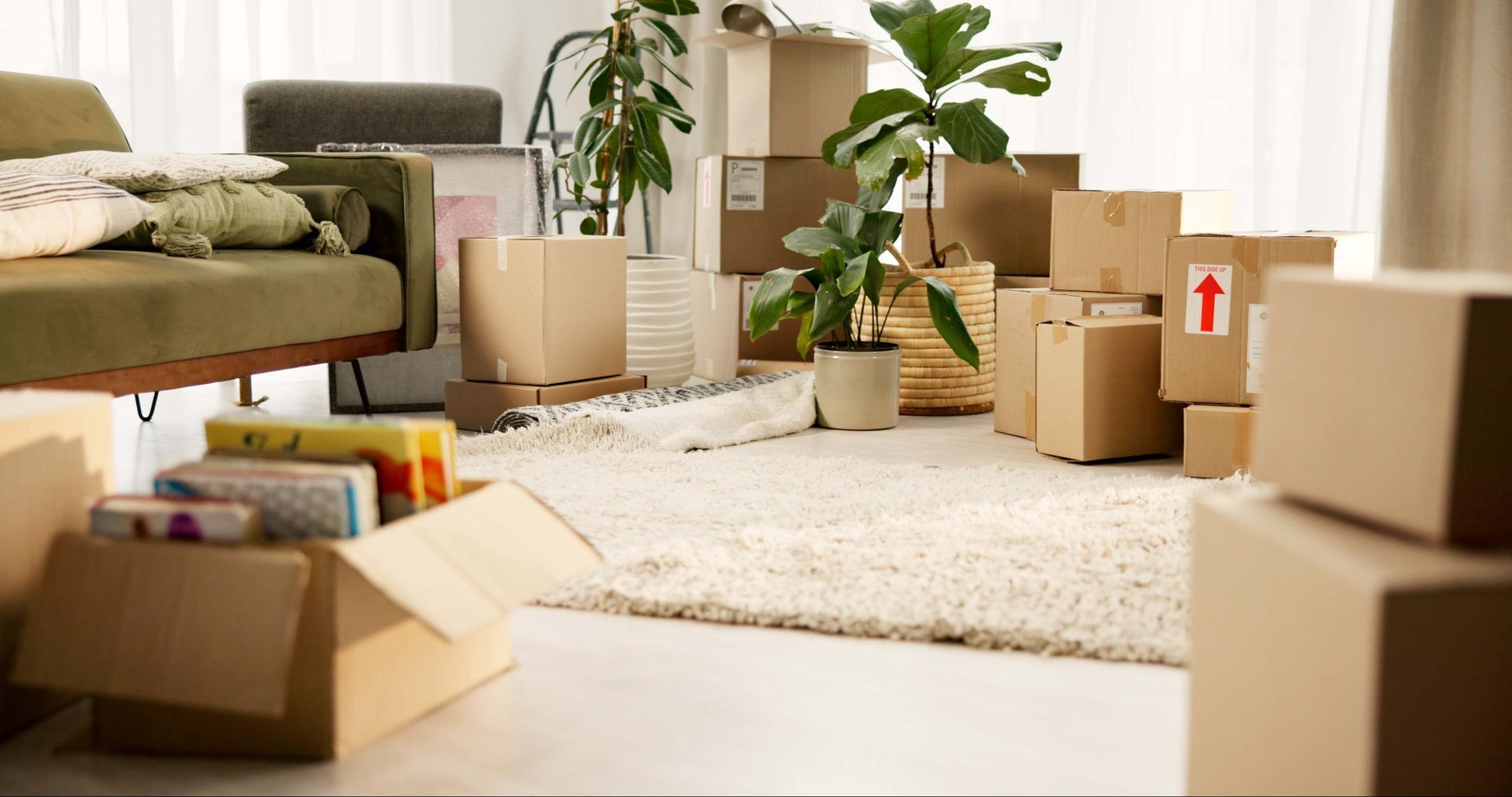 Cardboard moving boxes, indoor plants, and a rolled rug in a sunlit living room with a green sofa, representing the moving process for new residents relocating to Madison, Wisconsin.
