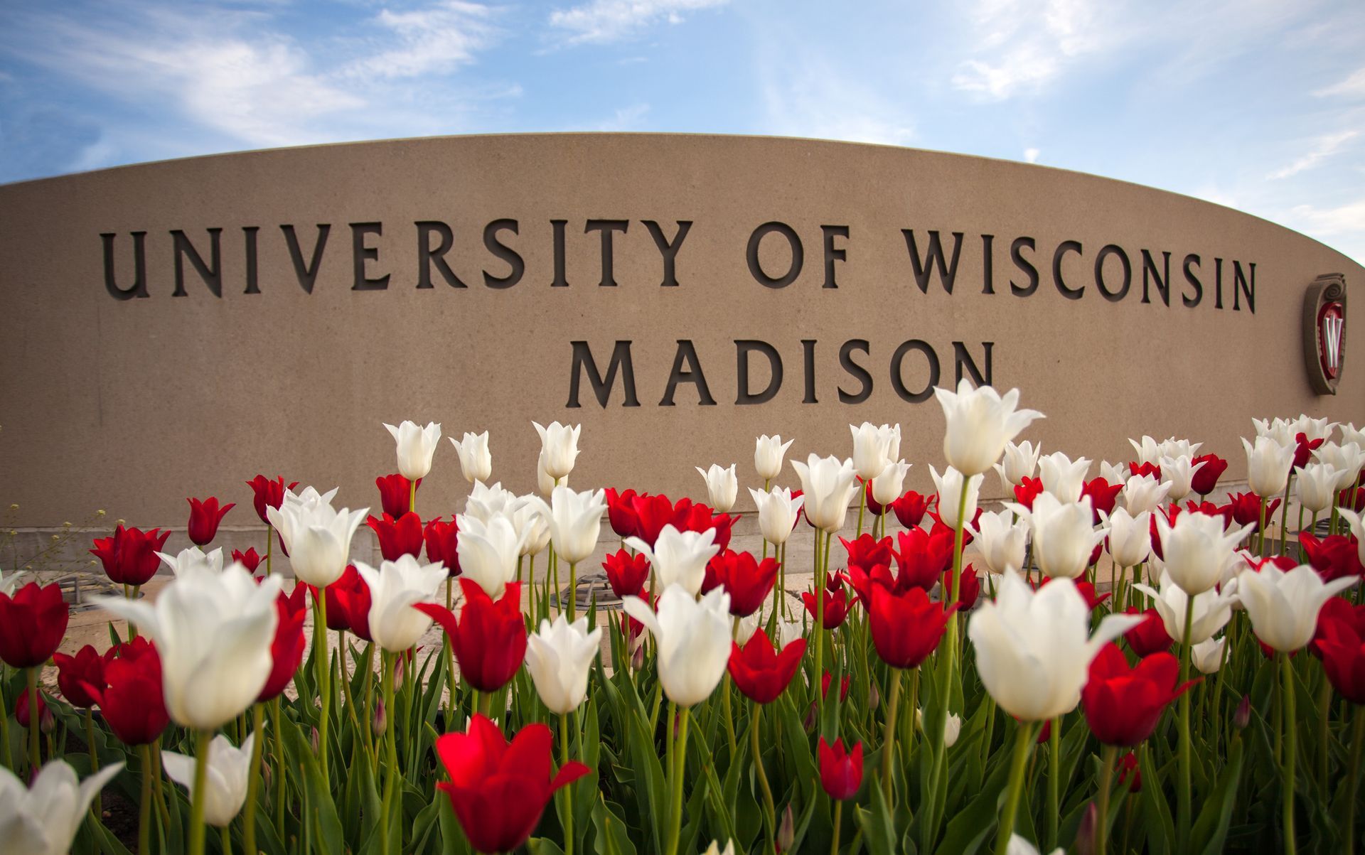 Red and white tulips in front of the University of Wisconsin-Madison sign