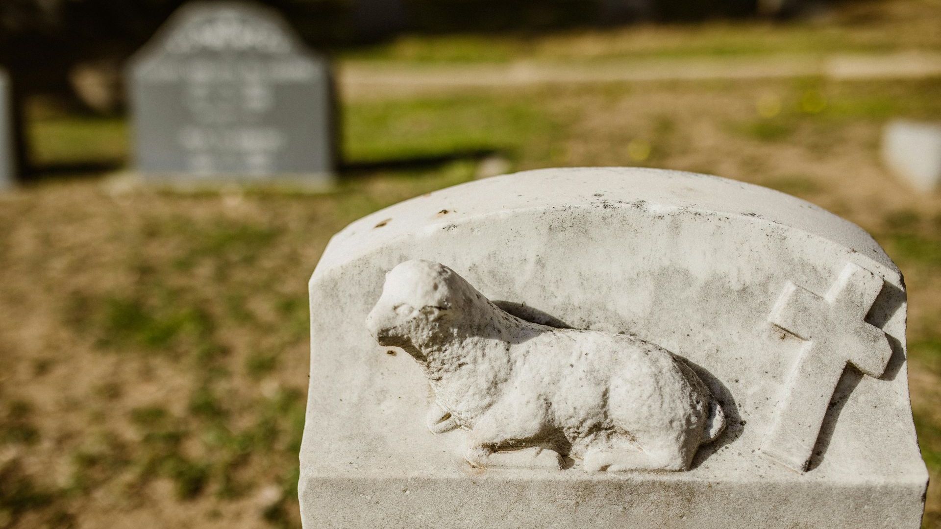 A gravestone with a sheep and a cross on it in a cemetery.