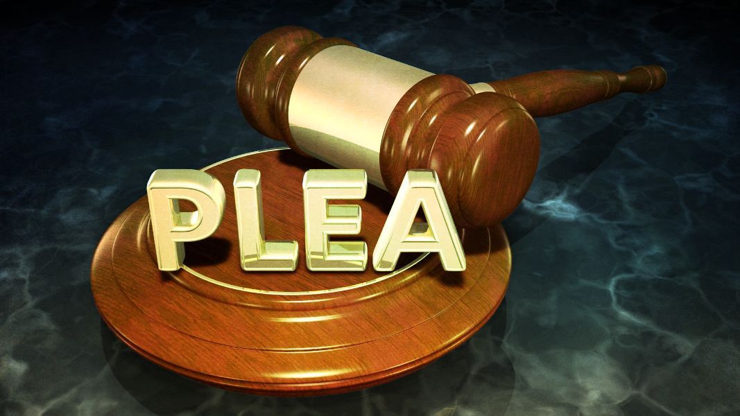 a judge 's gavel with the word plea on it
