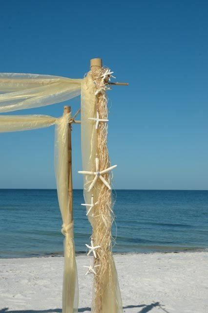 Beach wedding arch decorated with starfish and flowing fabric, ocean and blue sky in background.