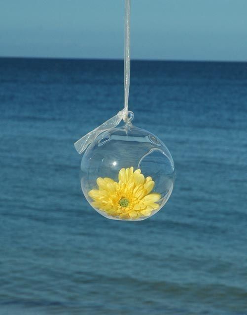 Yellow flower in a clear glass orb suspended against a blue ocean backdrop.