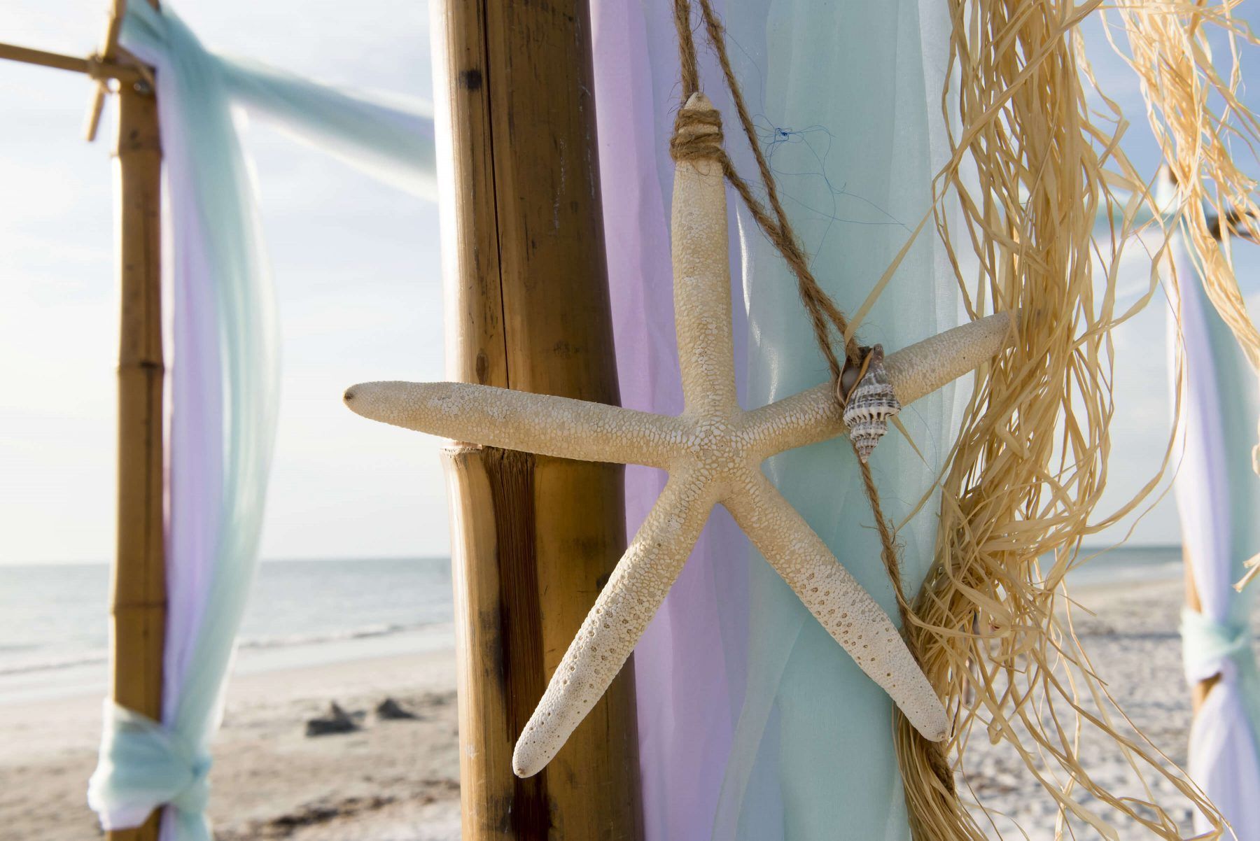 Starfish and decor on bamboo archway at beach.