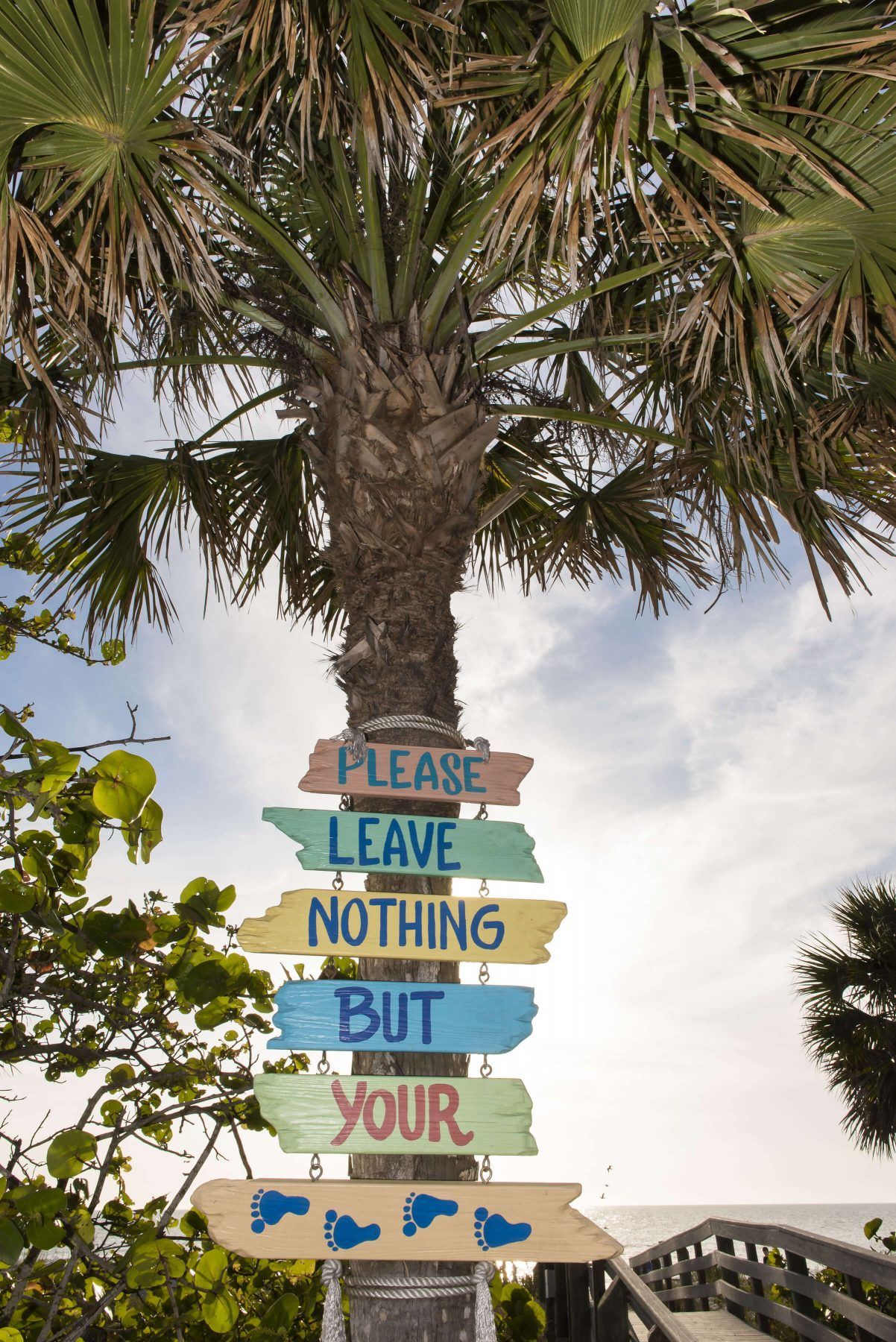 Palm tree with colorful sign: 