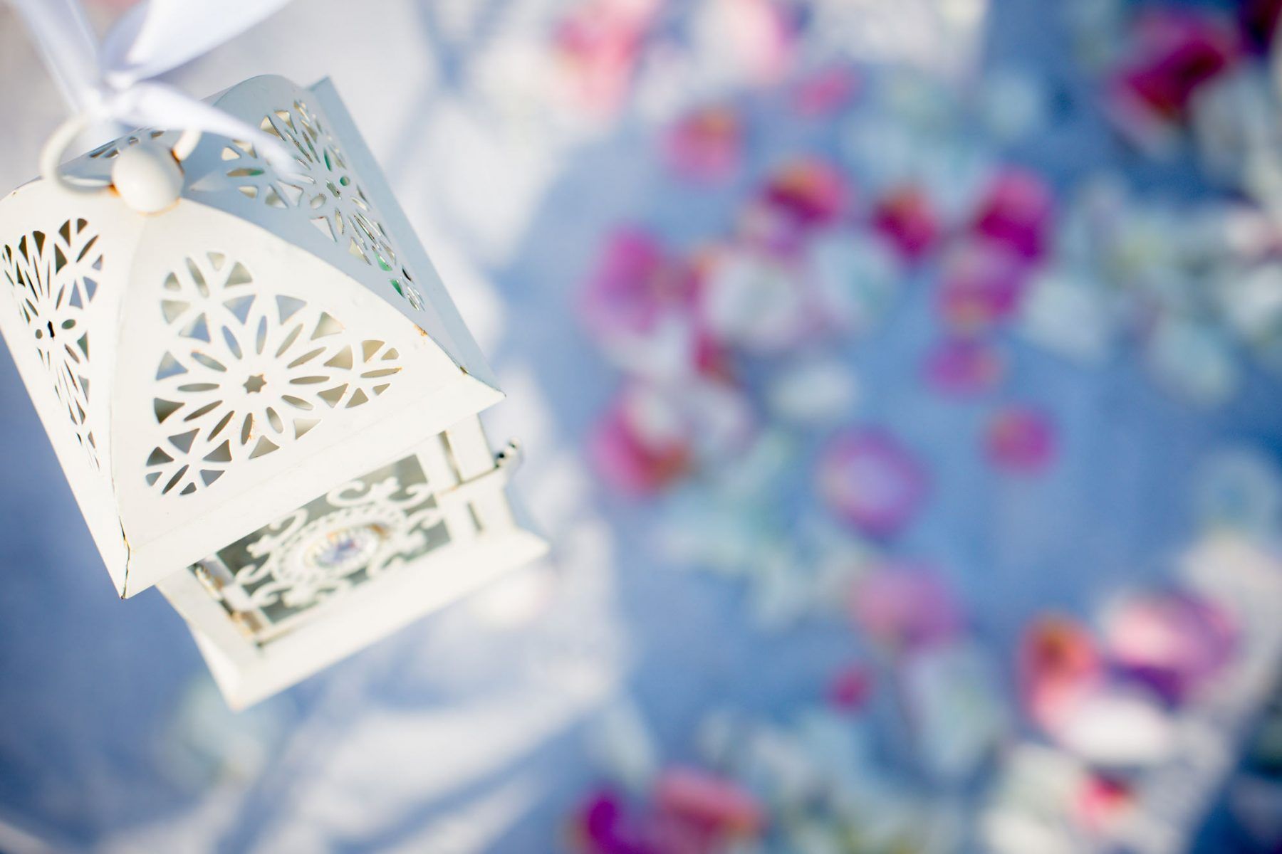 White decorative lantern with floral details, hanging above pink and white rose petals.