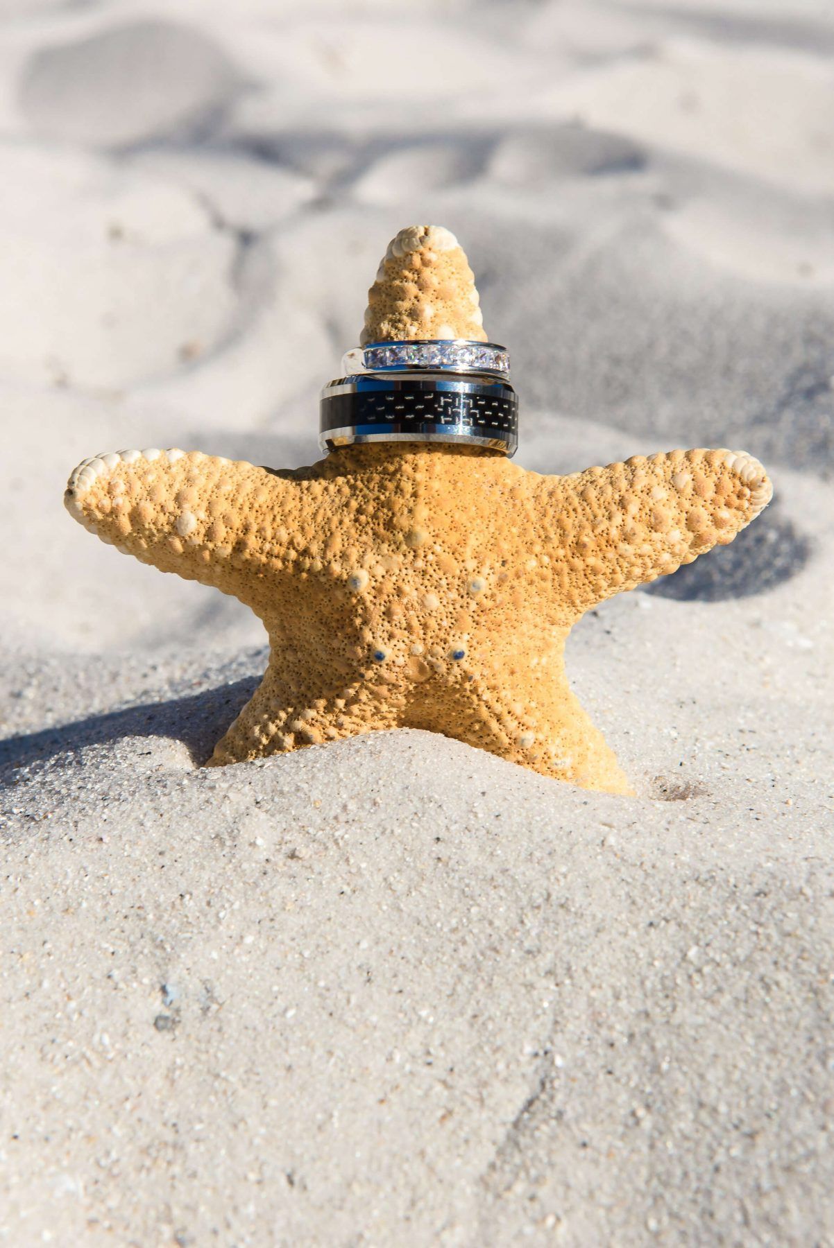 Wedding rings on a starfish in the sand.