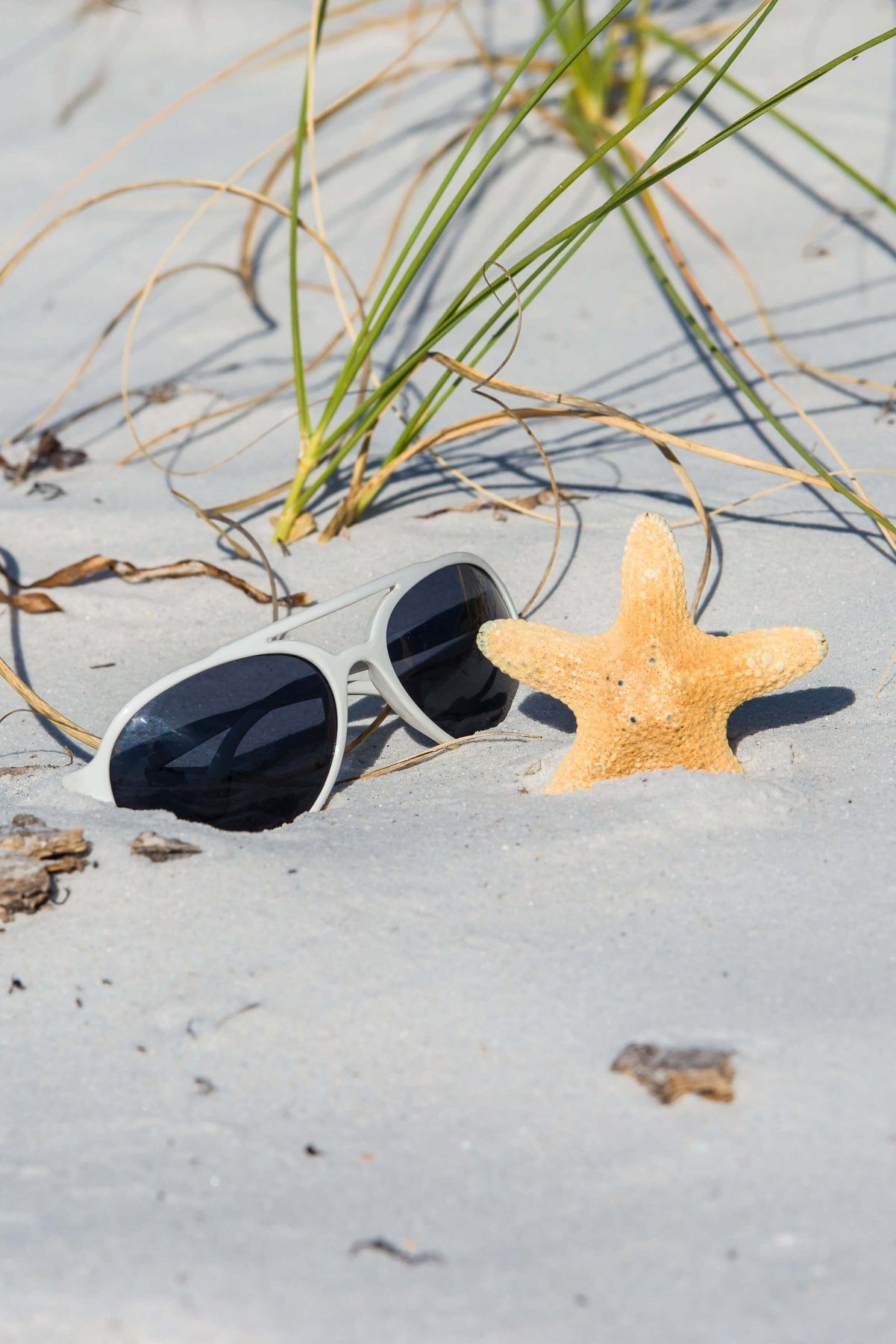 Sunglasses and starfish on a sandy beach with sea grass.