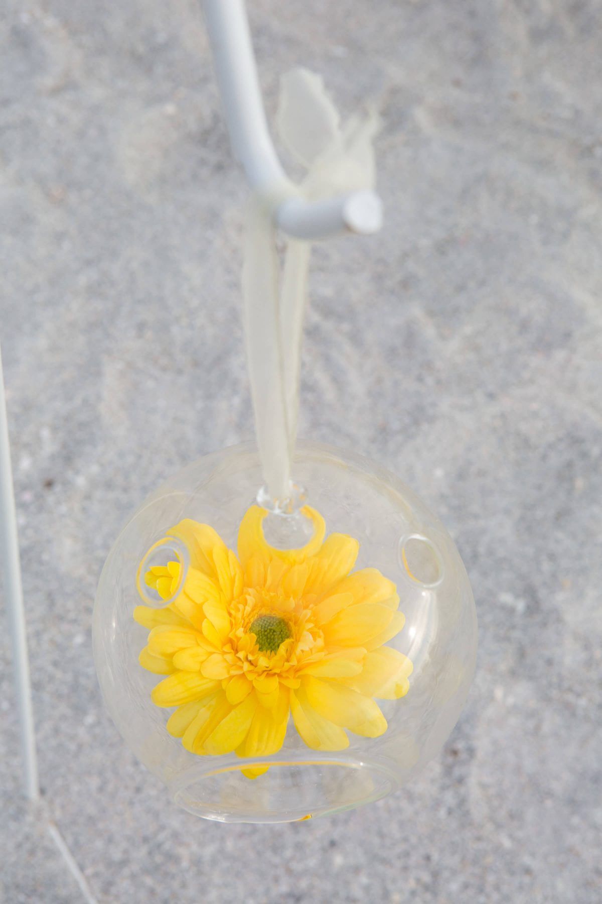 Yellow gerbera daisy in a clear glass orb suspended from a white hook.