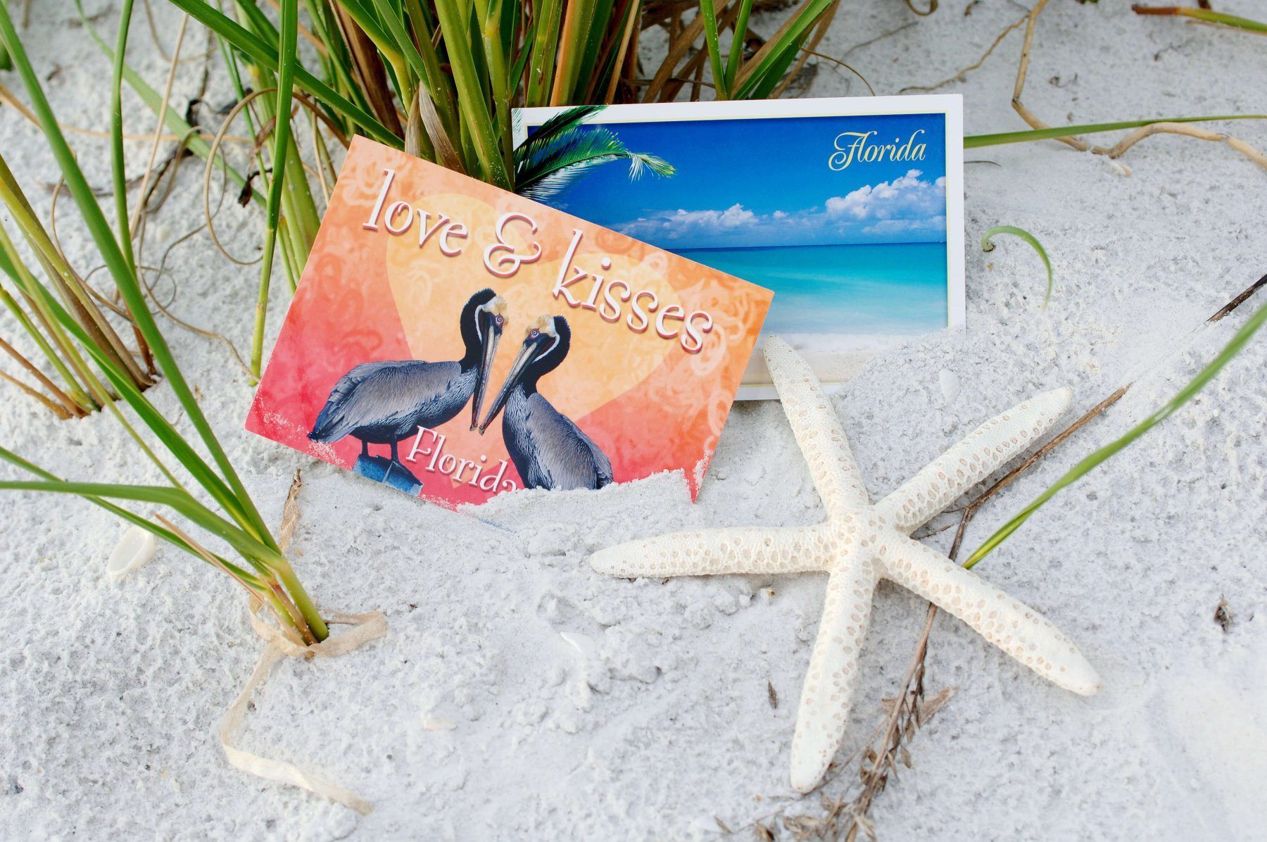 Postcards and starfish on white sand, with green seagrass. One postcard reads 