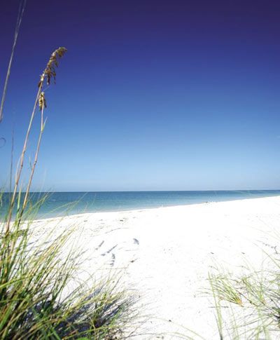 A white sandy beach with a blue sky and ocean in the background.