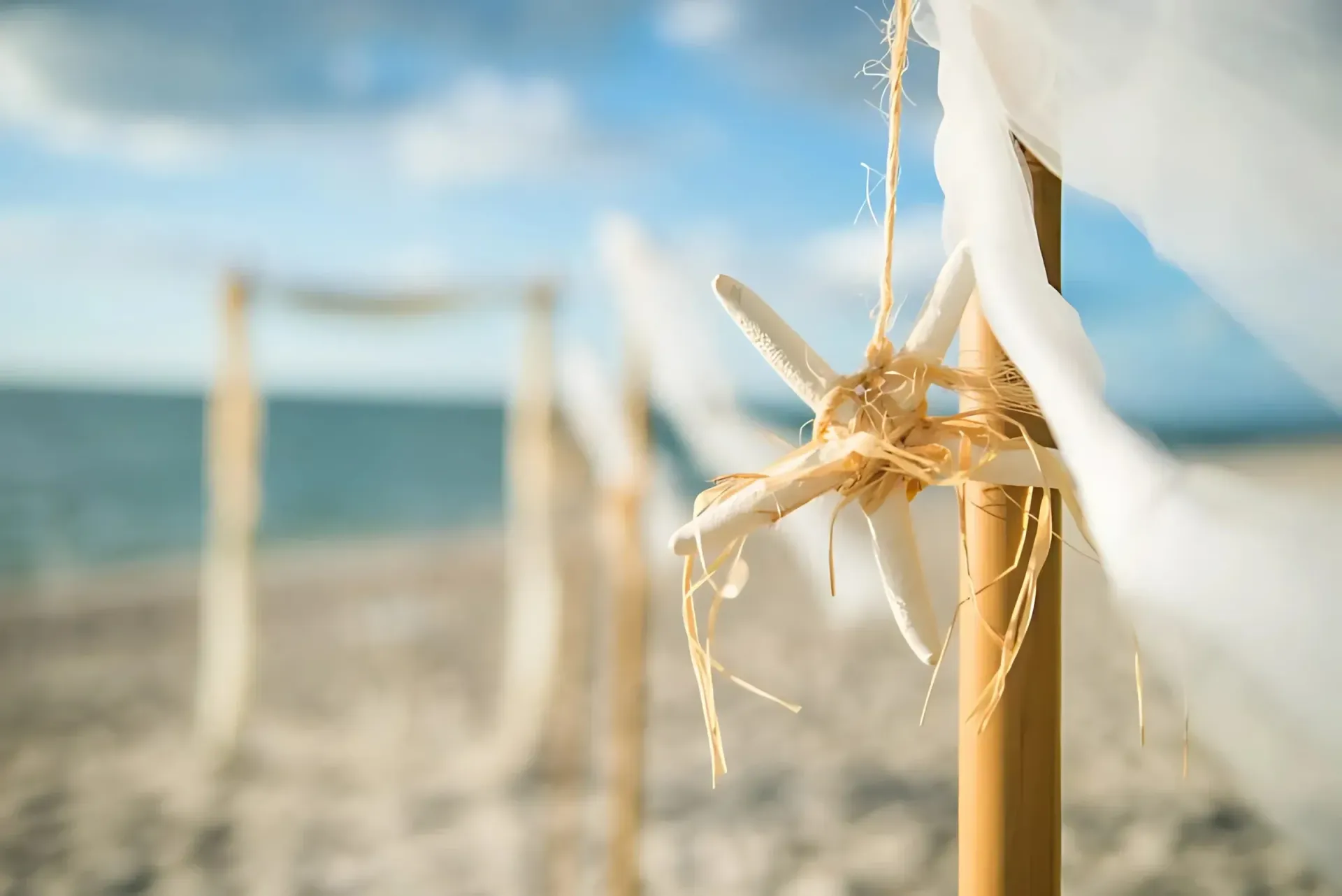 Beach wedding ceremony decorations, starfish, and sheer fabric against a blurred ocean backdrop.