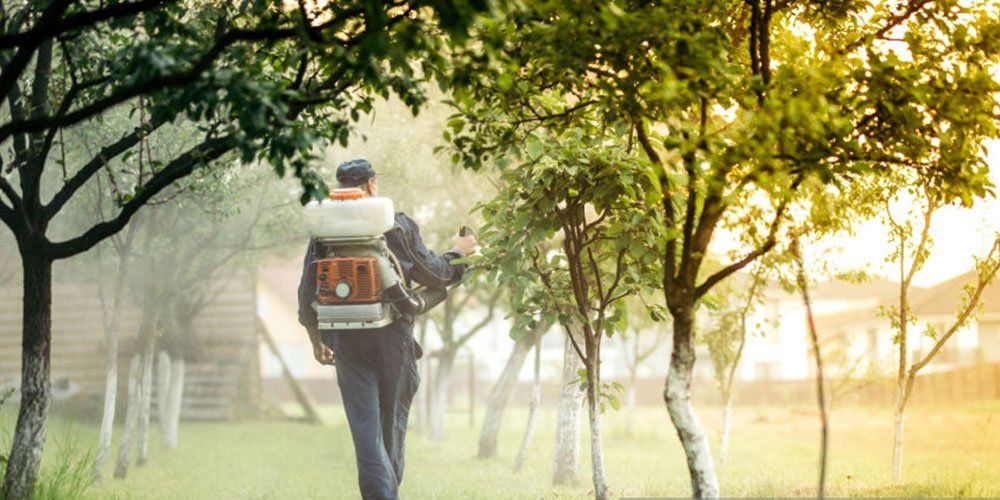 Servizi di sanificazione degli ambienti