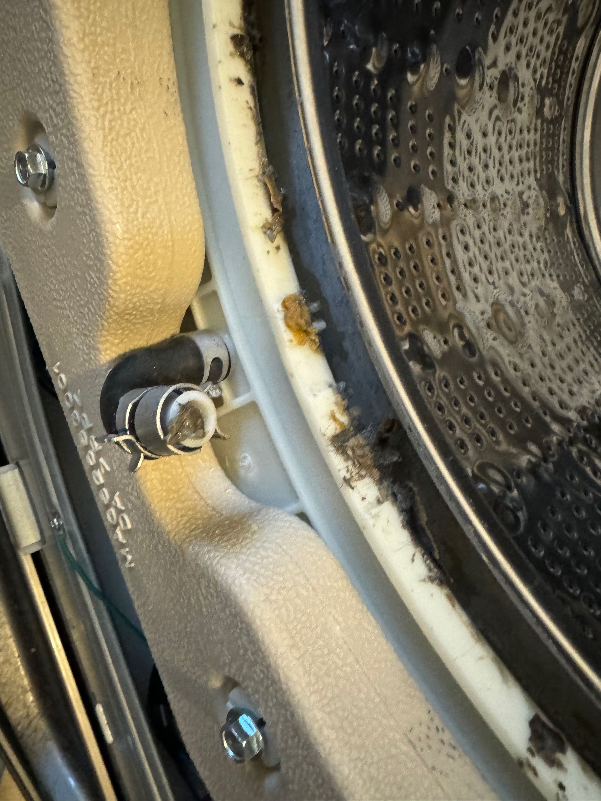 A close-up of a washing machine interior showing mold and residue buildup around the rim and on the drum.