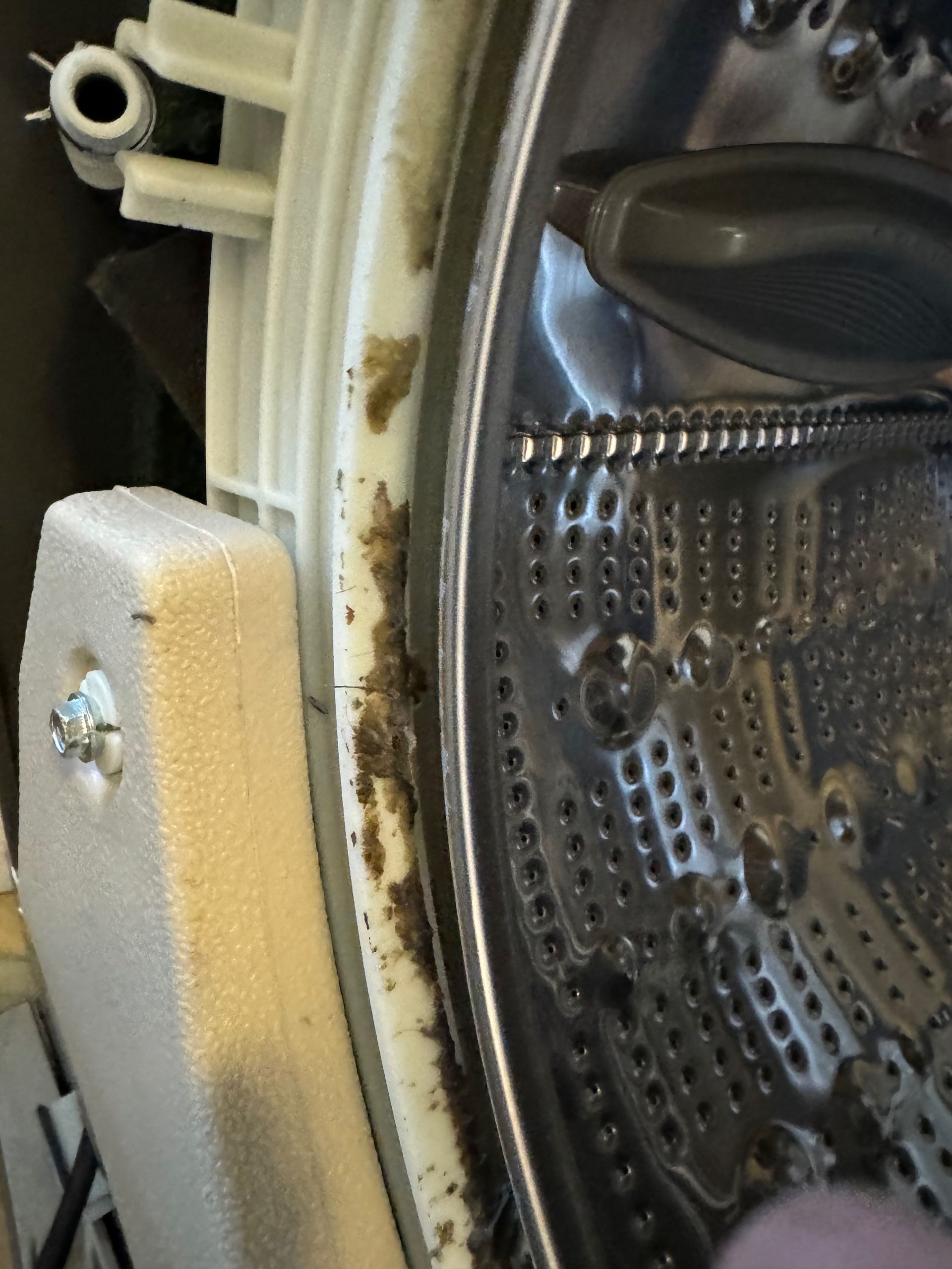 Close-up of a washing machine drum with visible mold and debris around the rubber seal.  White plastic and a metal drum are shown.
