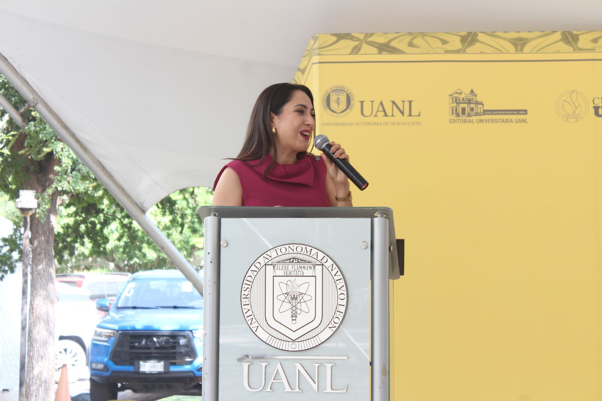 Domina el arte de hablar en público 