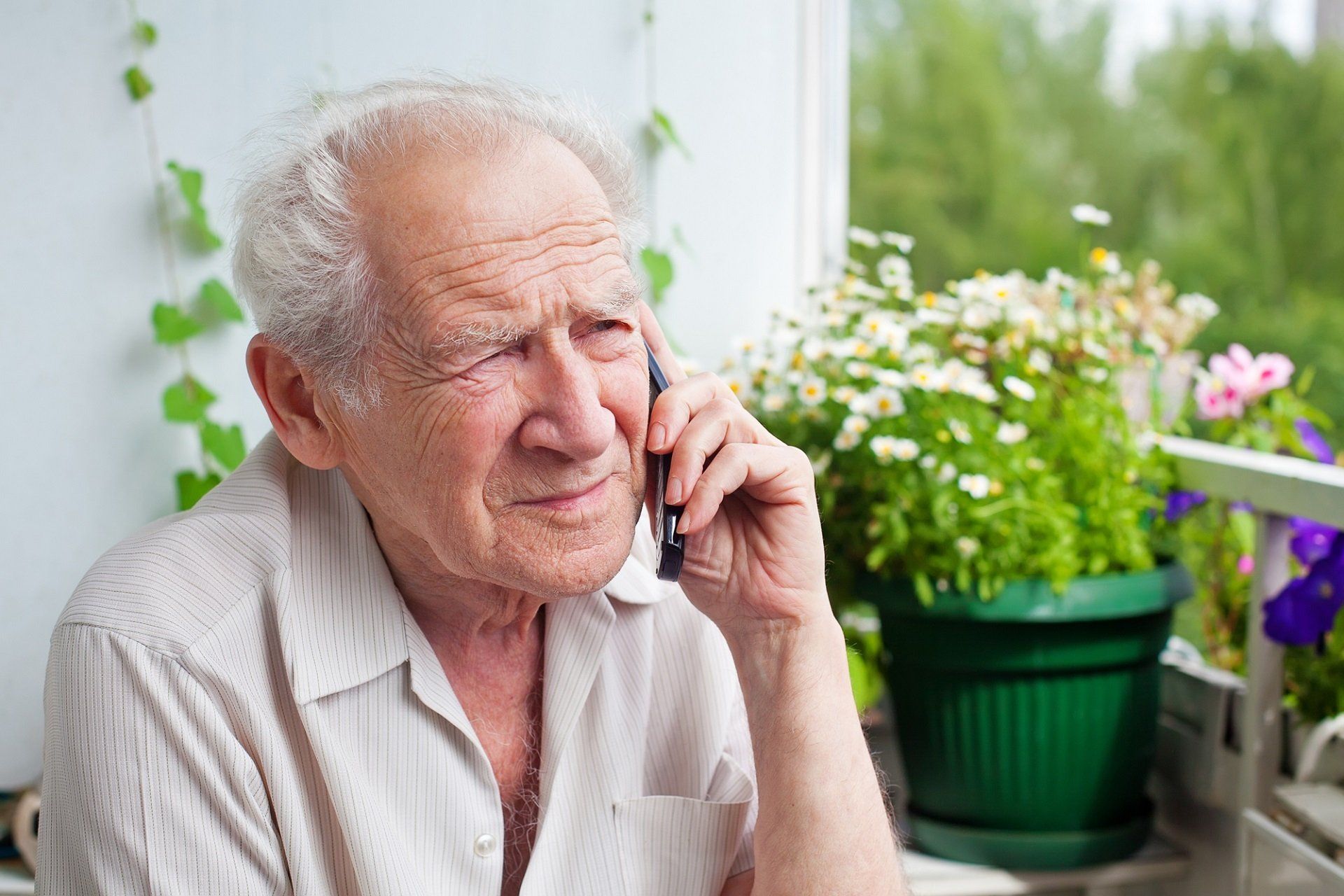 elder scams
