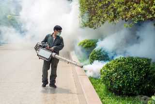 Removing Pest By Smoking — Advanced Pest Control in Albion Park Rail, NSW
