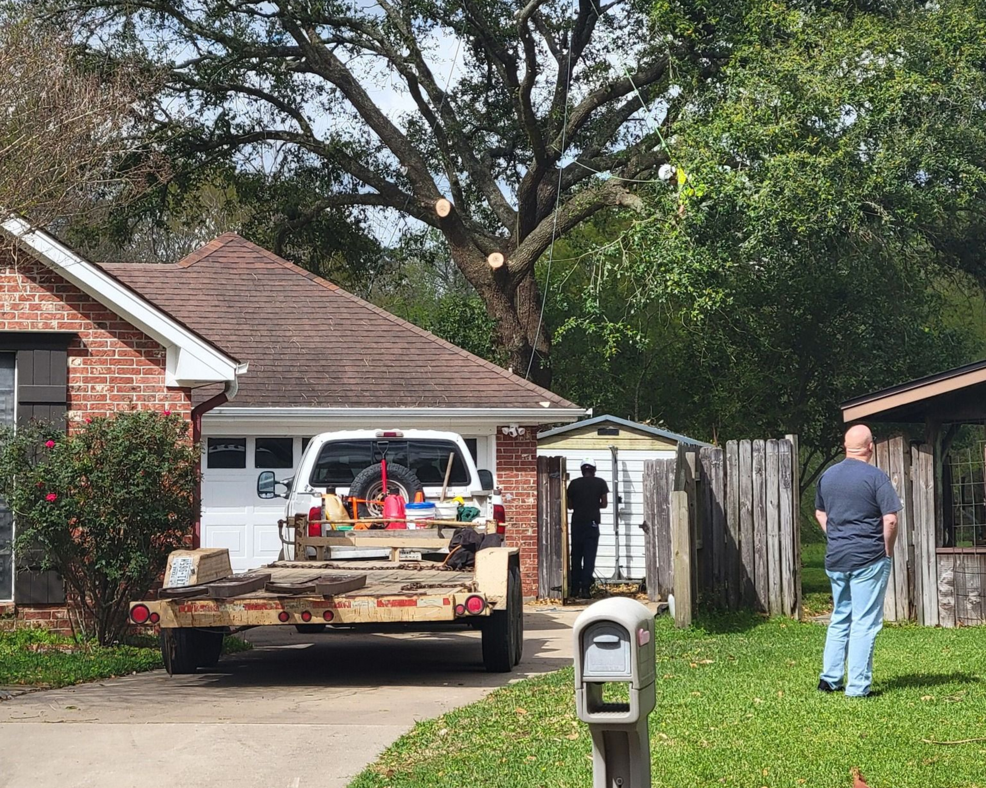 Workers on clients property trimming large overgrown tree in Kountze, TX