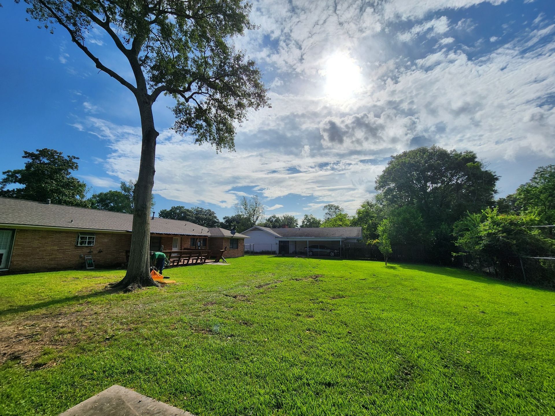 Clients backyard after successful tree removal