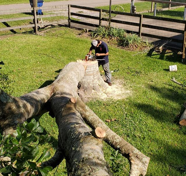 Man using a power tool on a stump after a successful tree cutting, preparing to grind the stump