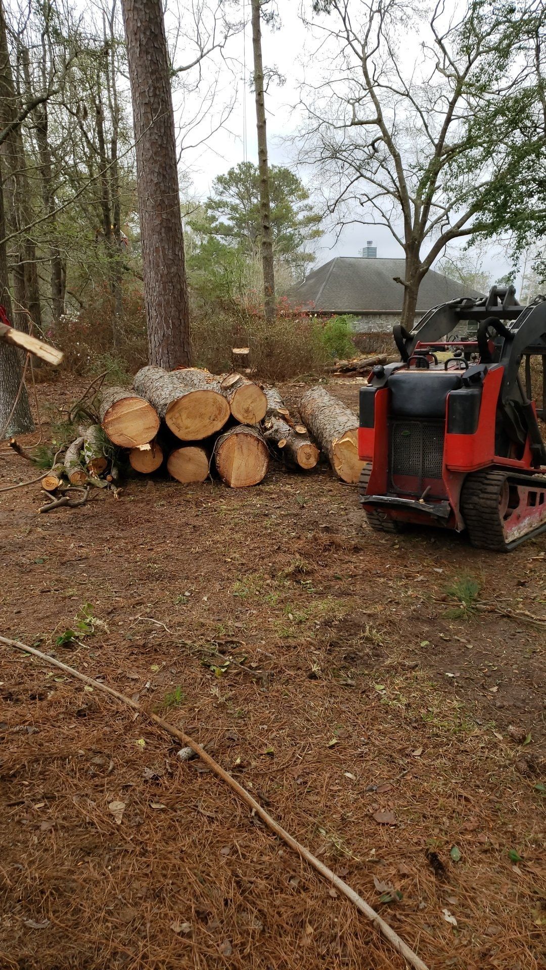 Tractor with bucket attachment sitting near a pile of tree debris ready for removal from clients property in Southeast Texas