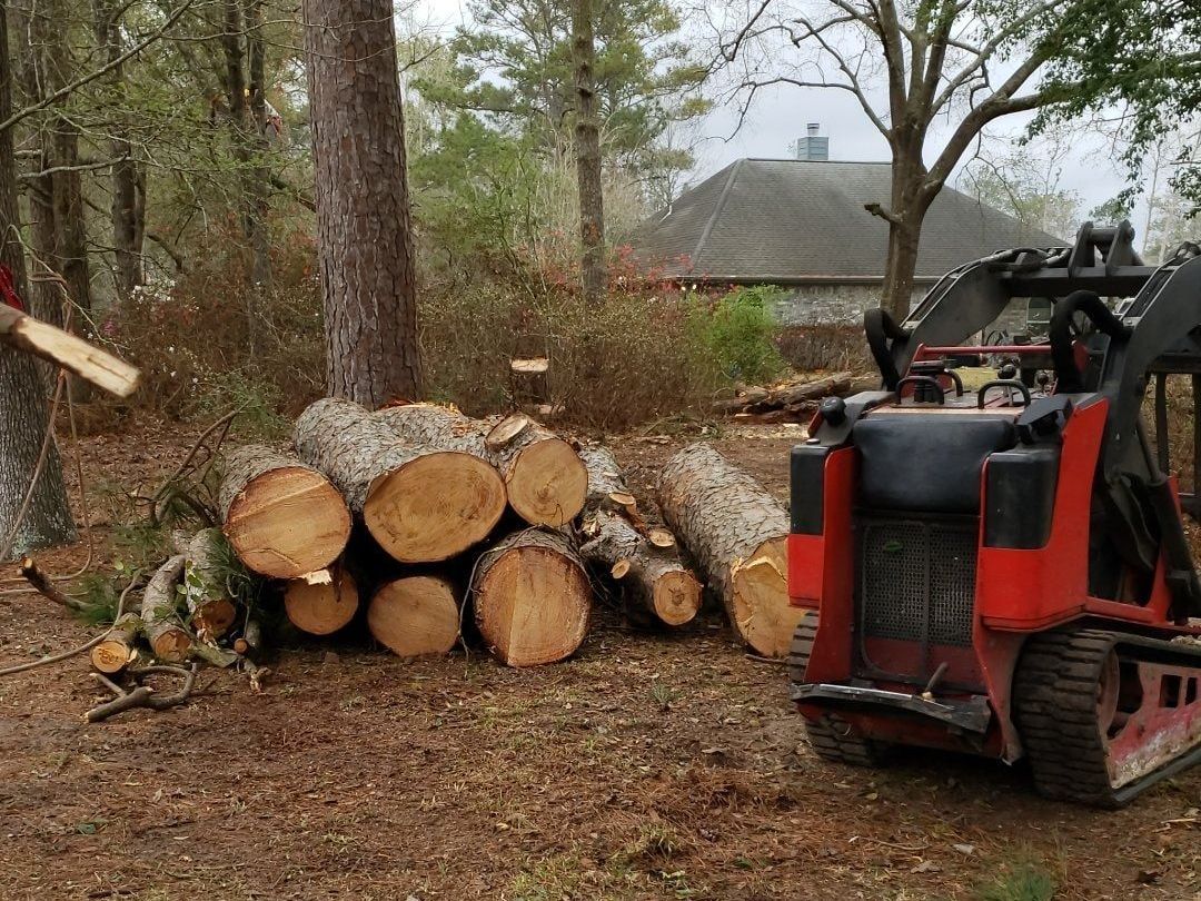 converted timber and petrol-powered saw on the ground