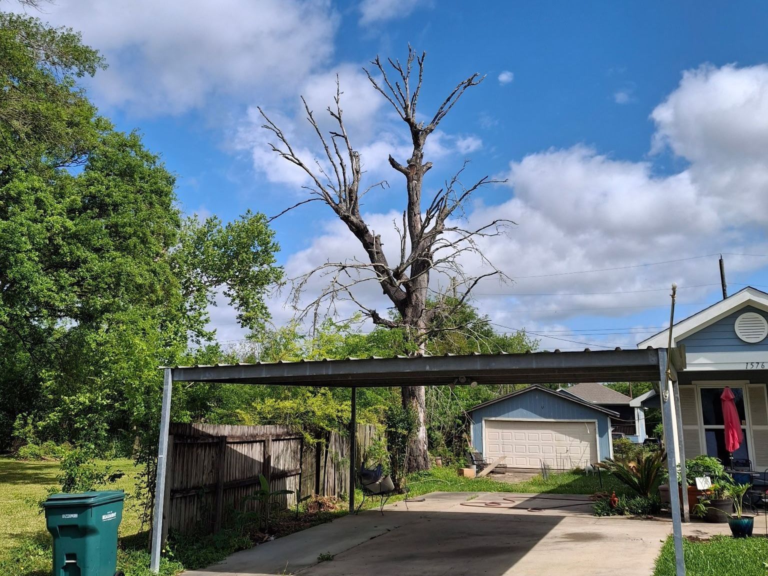 Stump grinder removing a stump in a clients backyard in Southeast Texas