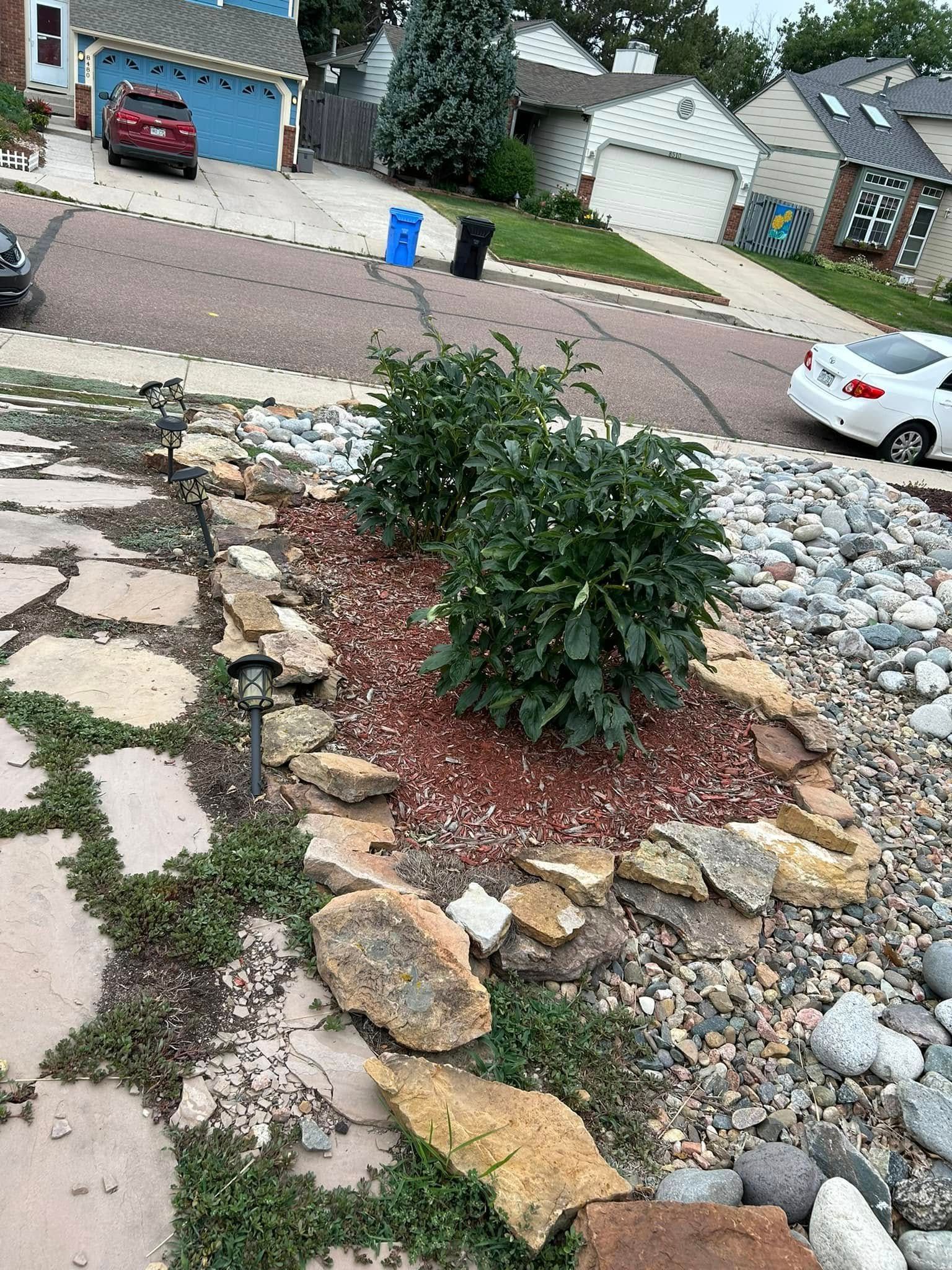 Rock garden with bushes, flagstone path, street, houses.