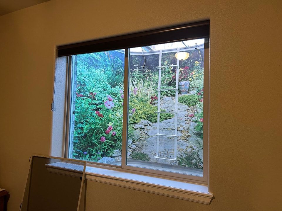 Window looking out at a lush garden with a white ladder.