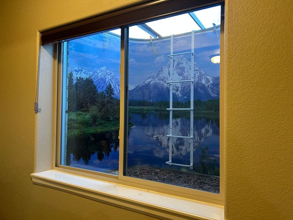 Window with a landscape scene: lake, mountains, trees, and a ladder.