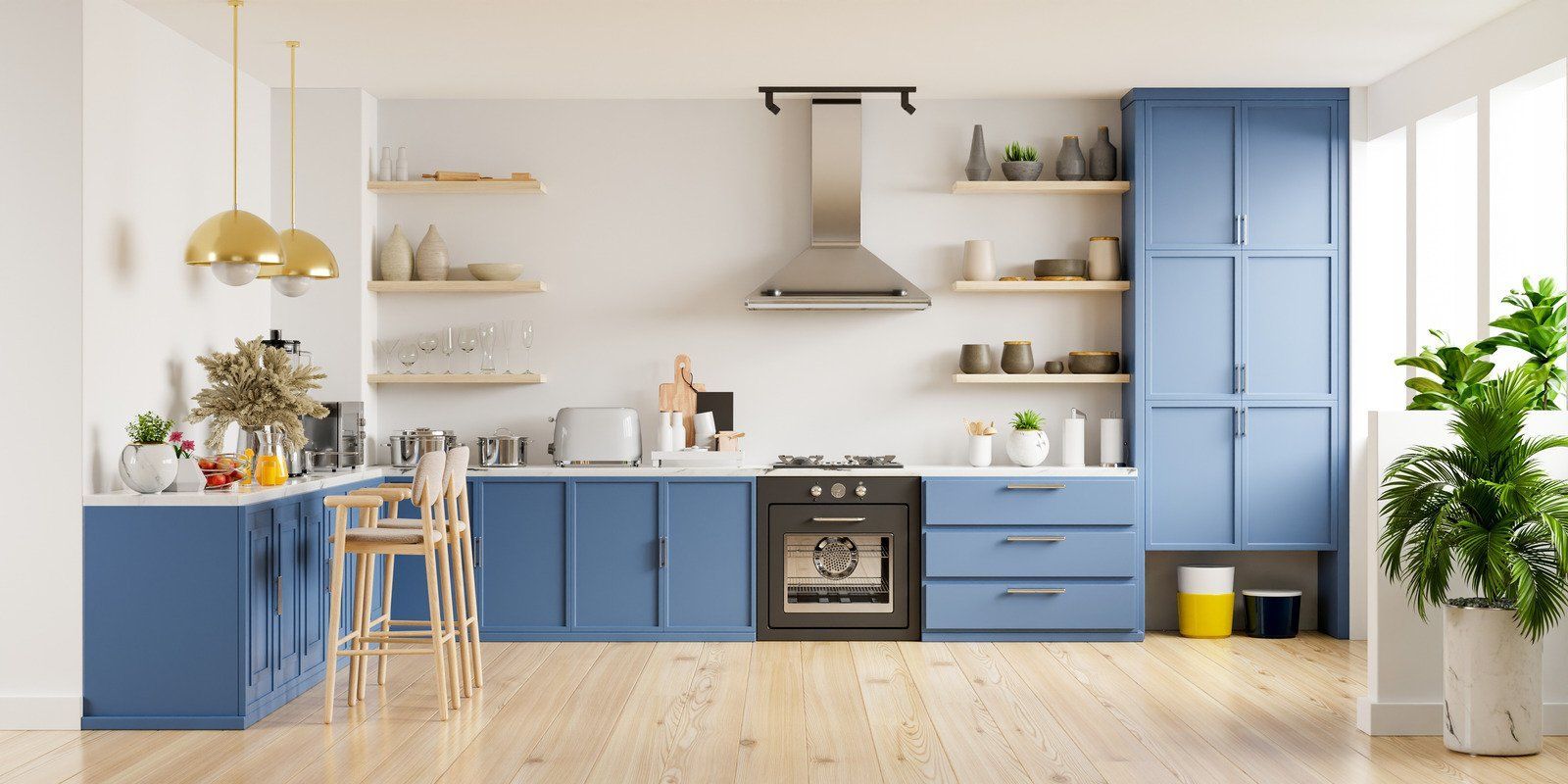 Blue and white kitchen with natural wood floors, featuring open shelving and a large green plant.