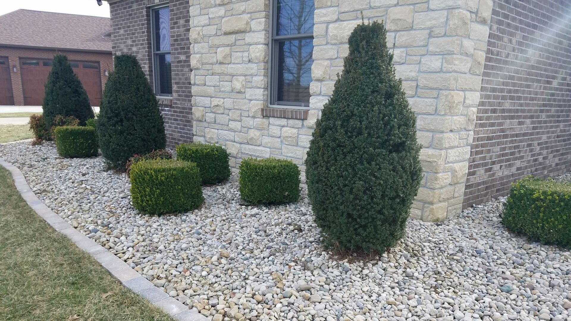 A row of bushes and rocks in front of a brick house.