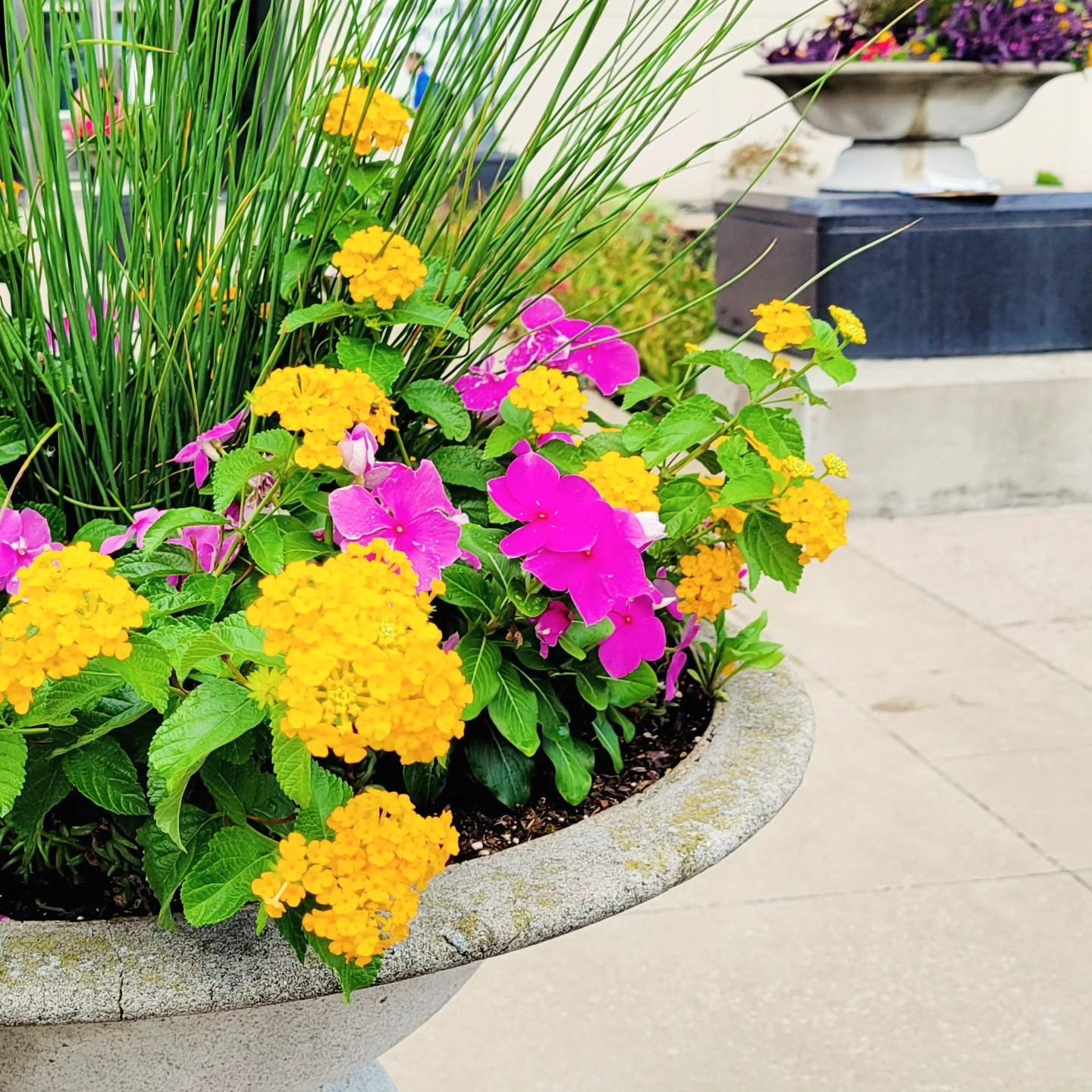A planter filled with yellow and pink flowers