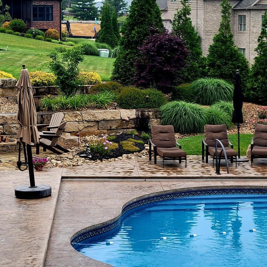 A large swimming pool surrounded by chairs and umbrellas