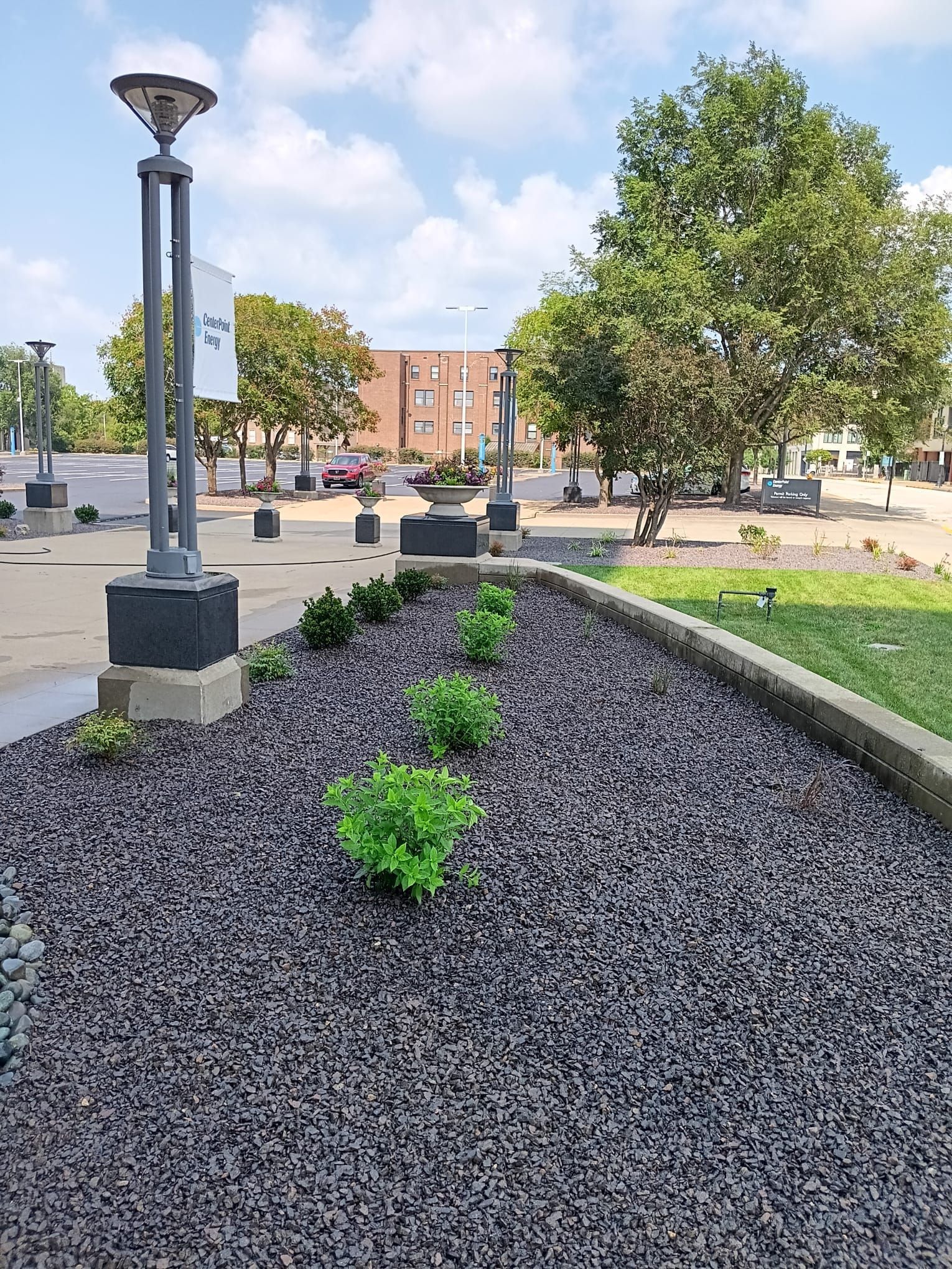 A garden with a lot of gravel and plants in it.
