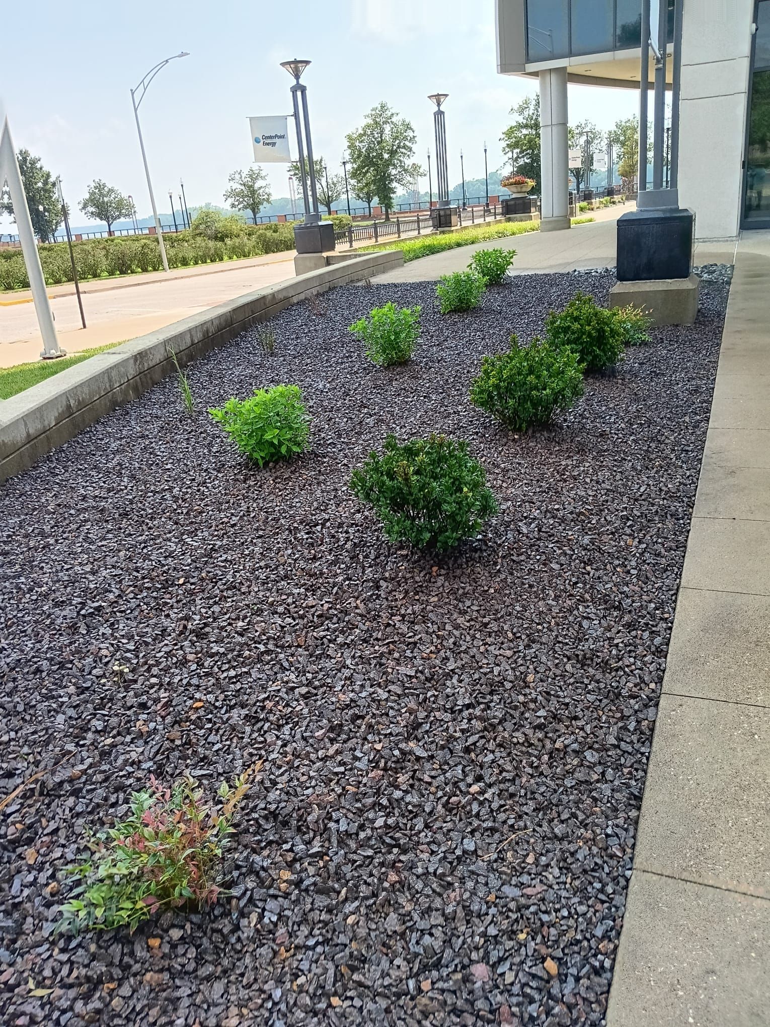 A garden with gravel and plants in front of a building.