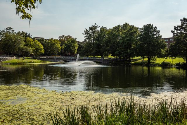 Wooster Lake