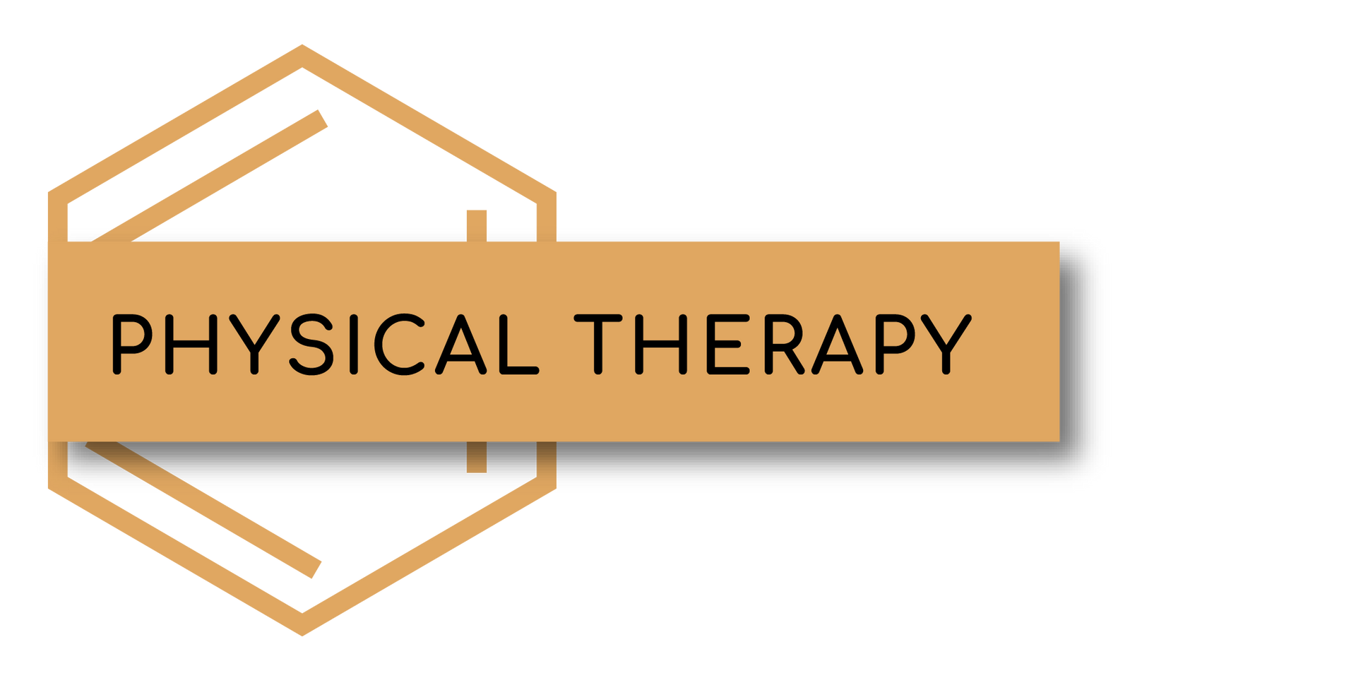 A logo for physical therapy with a shadow on a white background.