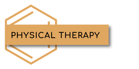 A logo for physical therapy with a shadow on a white background.