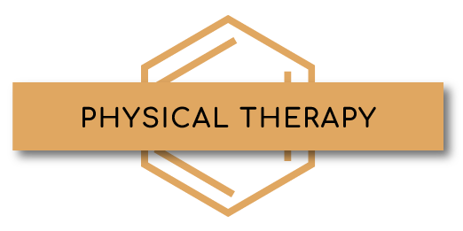 A logo for physical therapy with a hexagon in the background.