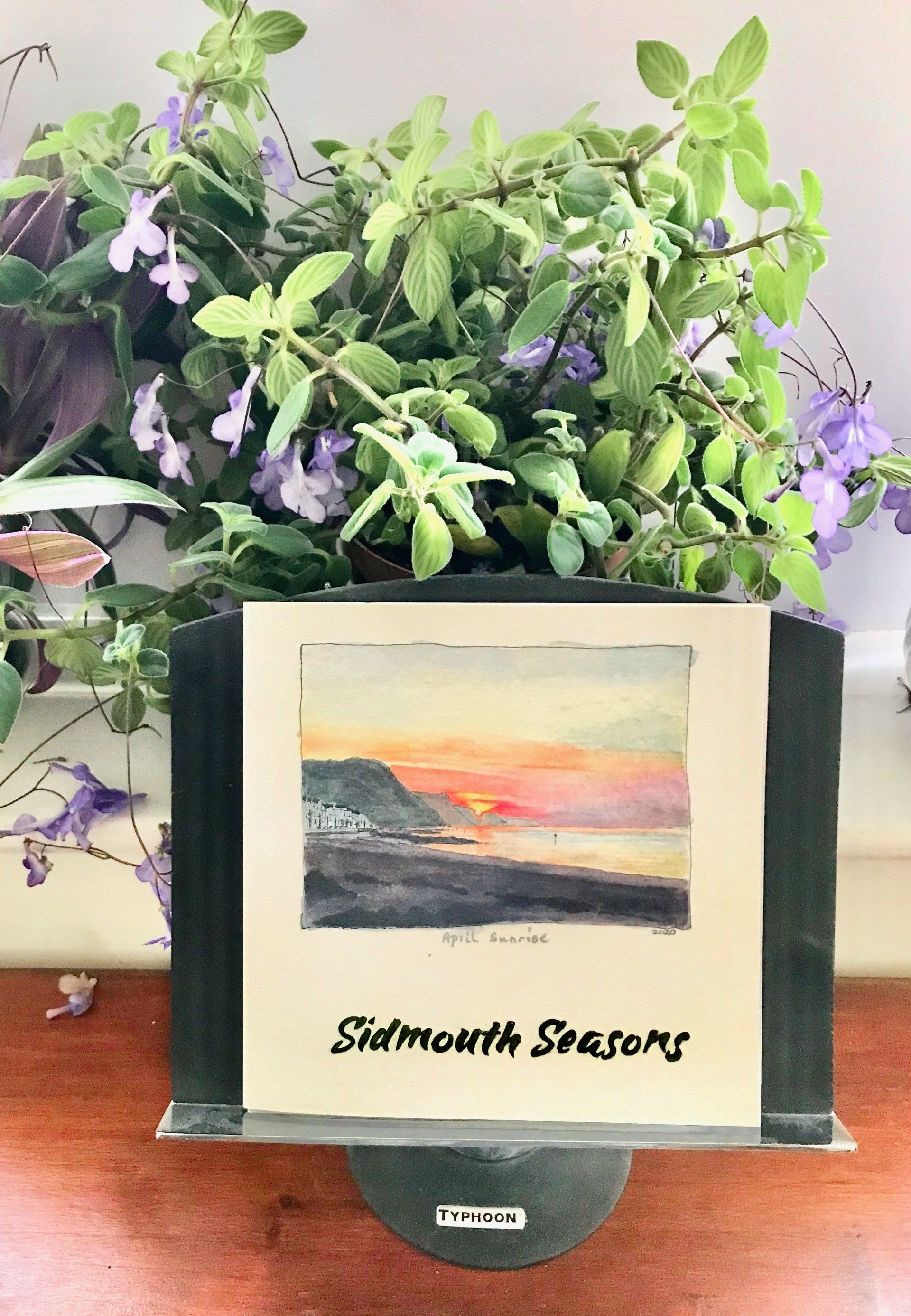Sidmouth Snippets book cover