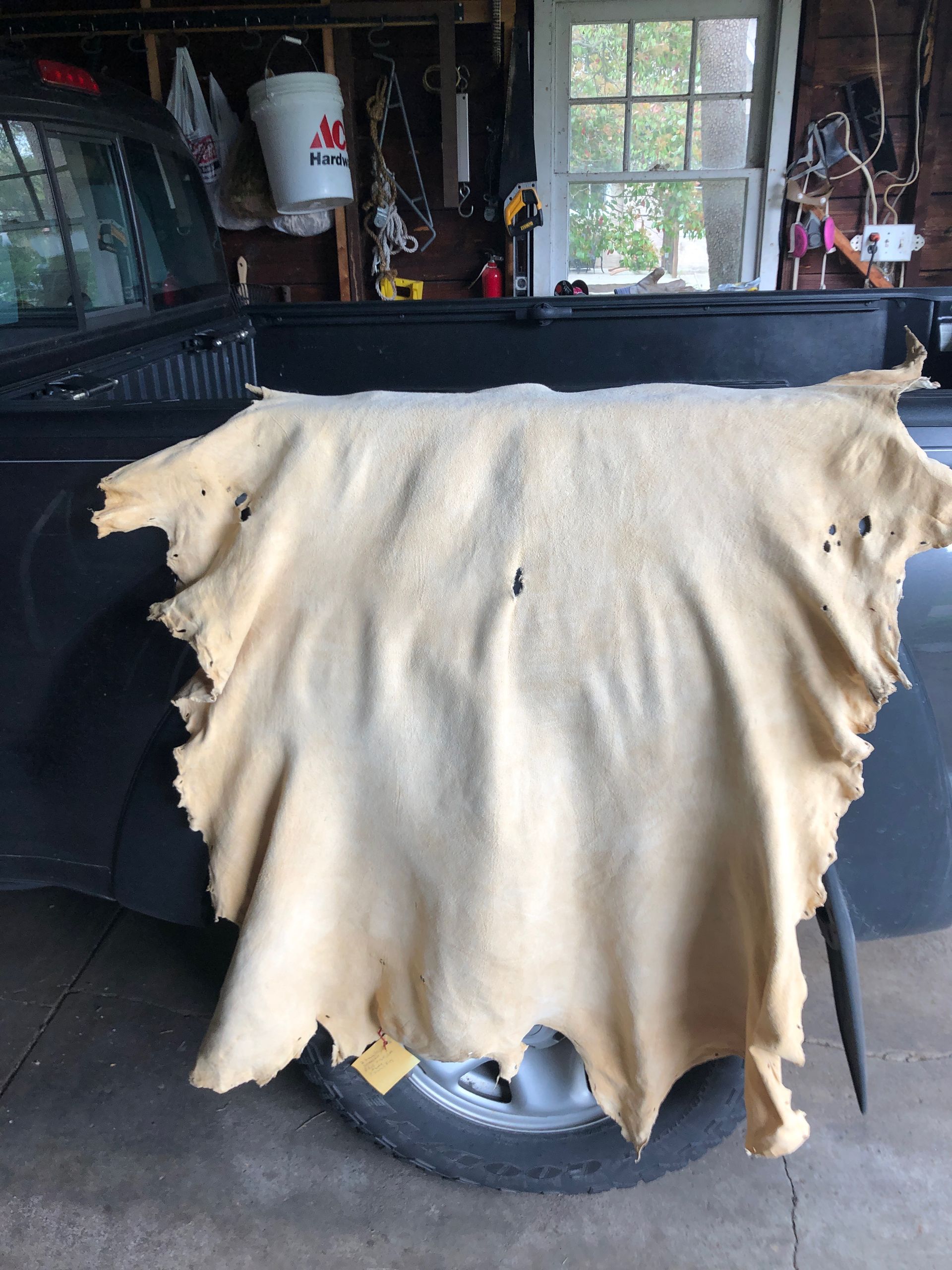 Tan animal hide draped over the black hood of a truck, set in a garage.