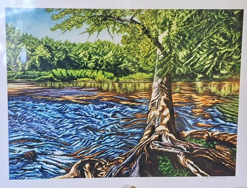 Tree with exposed roots beside a river with rippling blue and brown water; green trees in background.