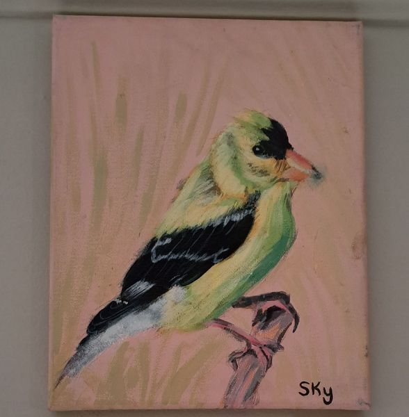 Yellow bird with black wings perched on a branch, set against a pink background.