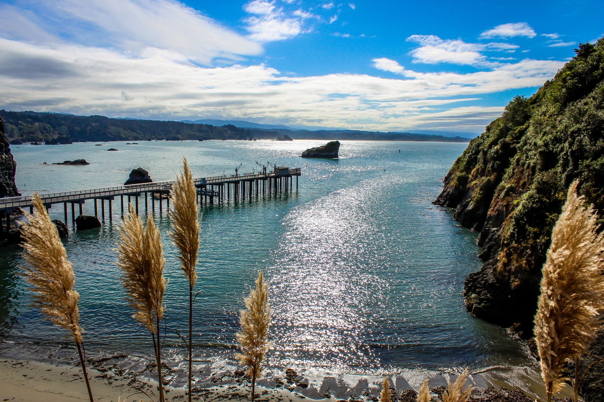 Bay with pier, rocky cliffs, and tall grass in foreground under a bright sky with sun reflecting on water.